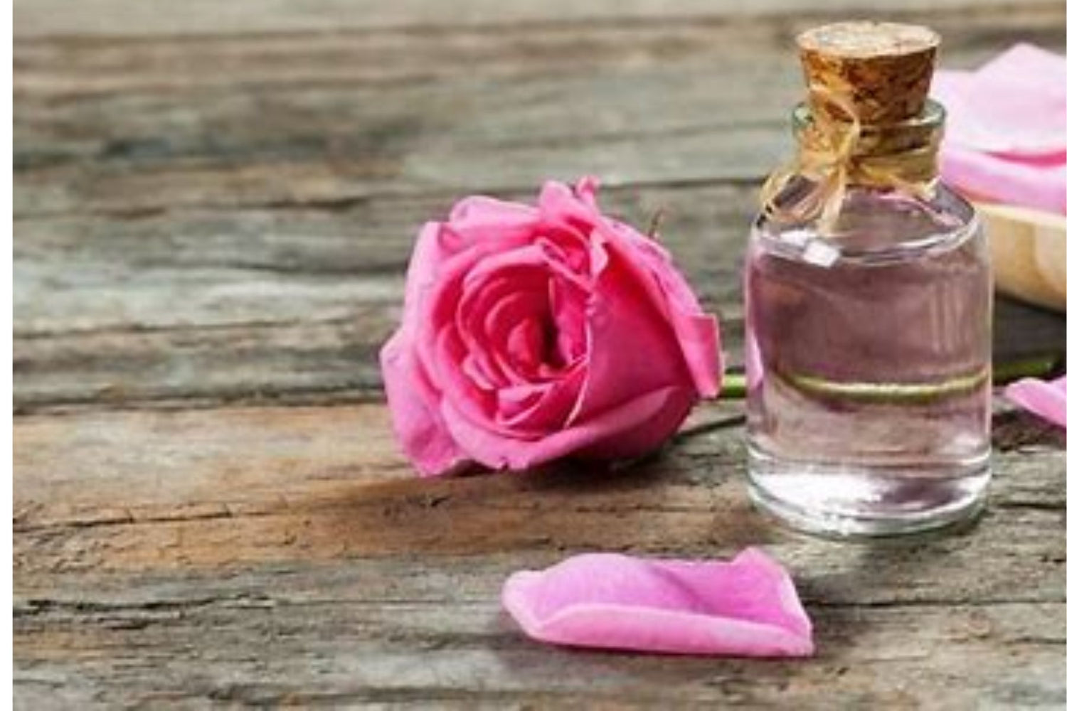 Why Nirvana Organic Rose Water is a Must-Have