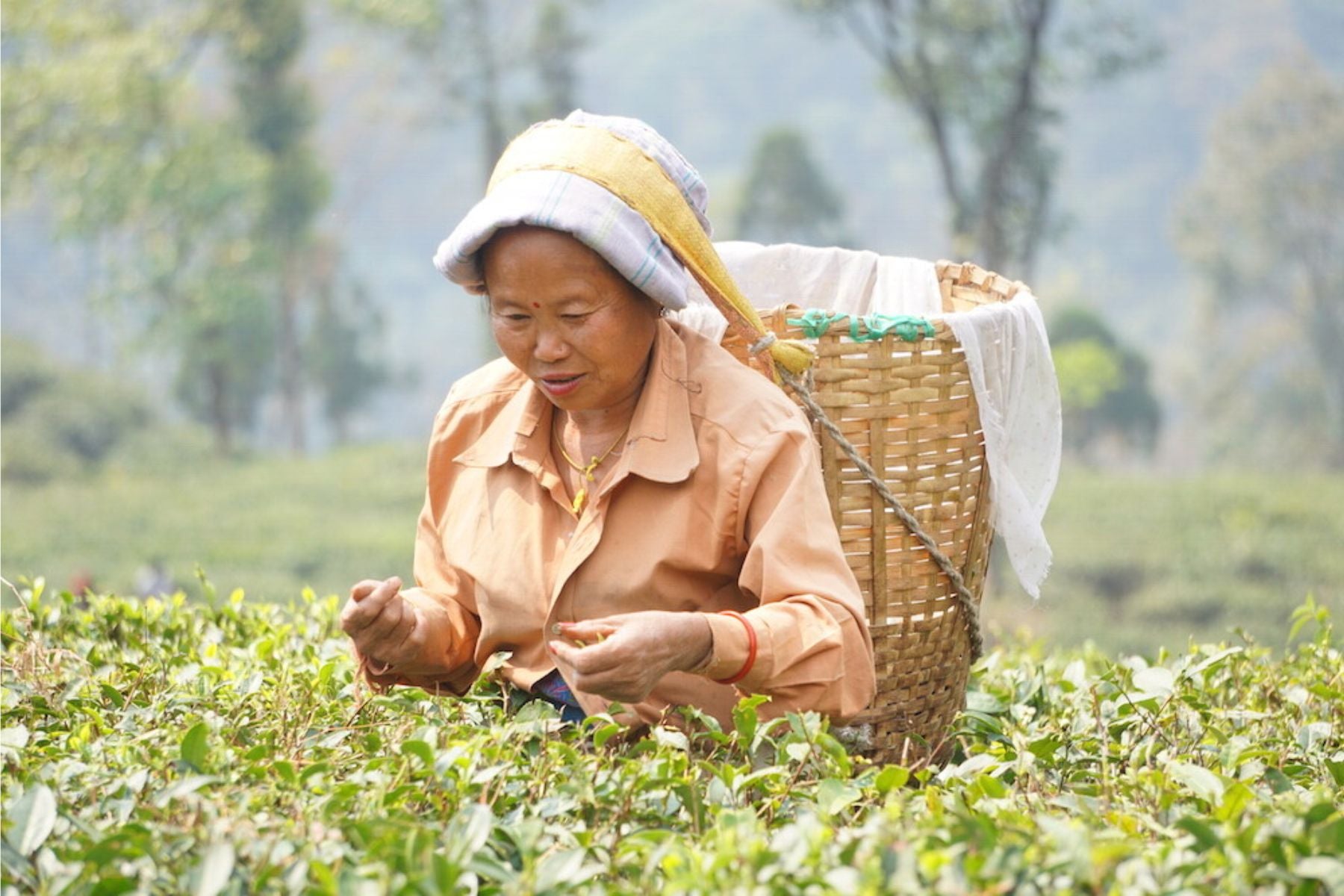 Building a Better Future: How You Can Support Women Farmers in the Himalayas