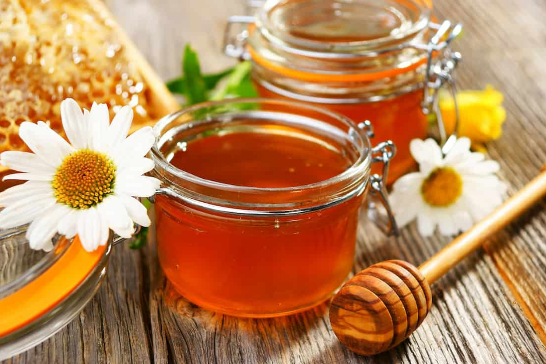 The Ultimate Honey Guide: Choosing the Right Nirvana Organic Honey for Every Occasion