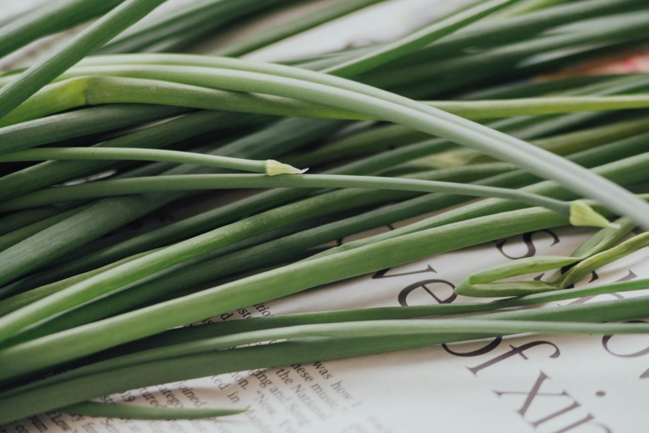 Growing Your Lemongrass: A Sustainable and Rewarding Kitchen Addition